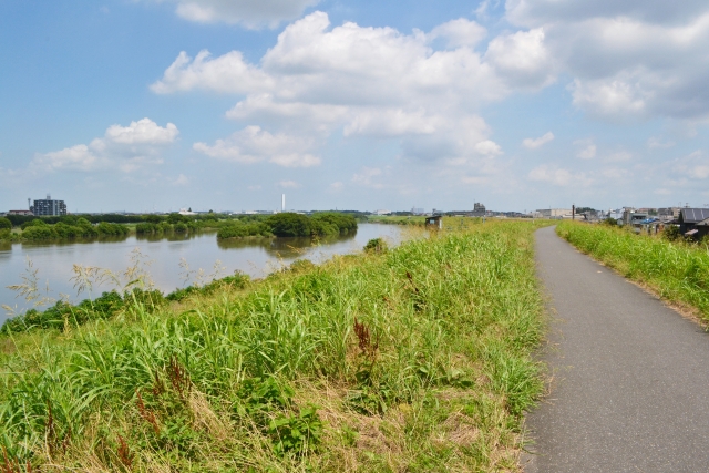 江戸川の堤防